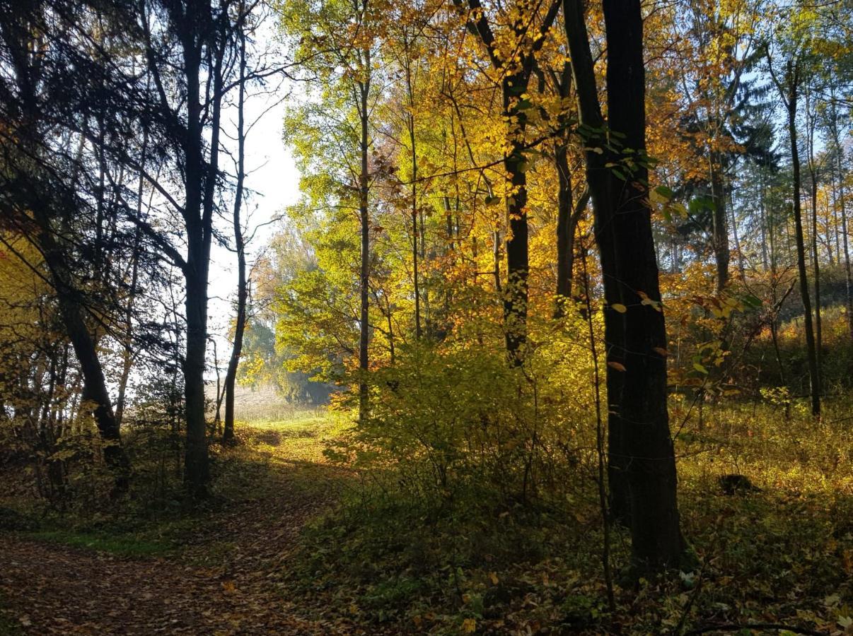 Pokoje Goscinne Art- Dworek Кудова-Здруй Екстер'єр фото